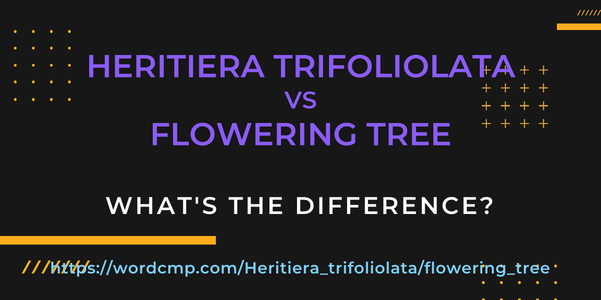 Difference between Heritiera trifoliolata and flowering tree