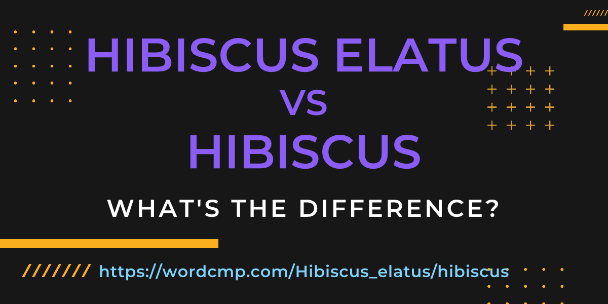 Difference between Hibiscus elatus and hibiscus