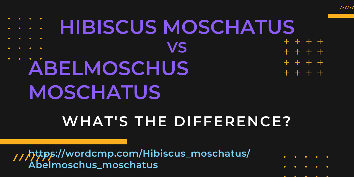 Difference between Hibiscus moschatus and Abelmoschus moschatus