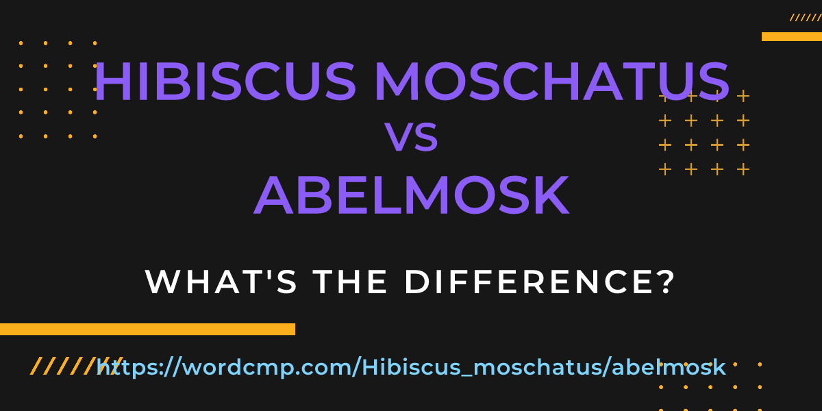 Difference between Hibiscus moschatus and abelmosk