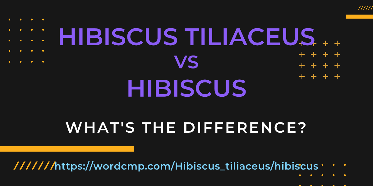 Difference between Hibiscus tiliaceus and hibiscus