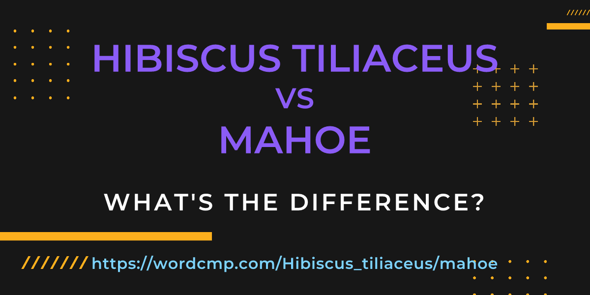 Difference between Hibiscus tiliaceus and mahoe