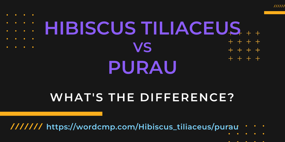 Difference between Hibiscus tiliaceus and purau