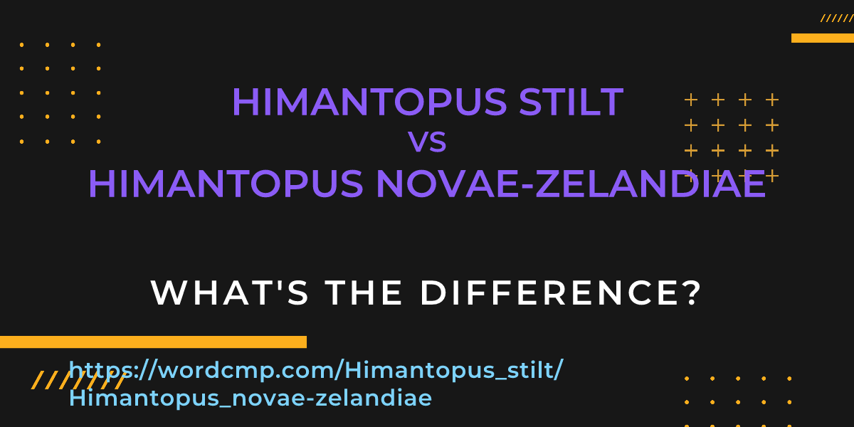 Difference between Himantopus stilt and Himantopus novae-zelandiae