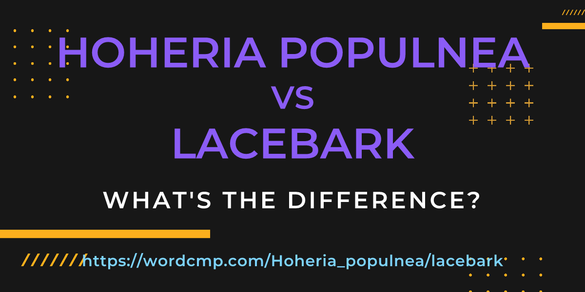 Difference between Hoheria populnea and lacebark