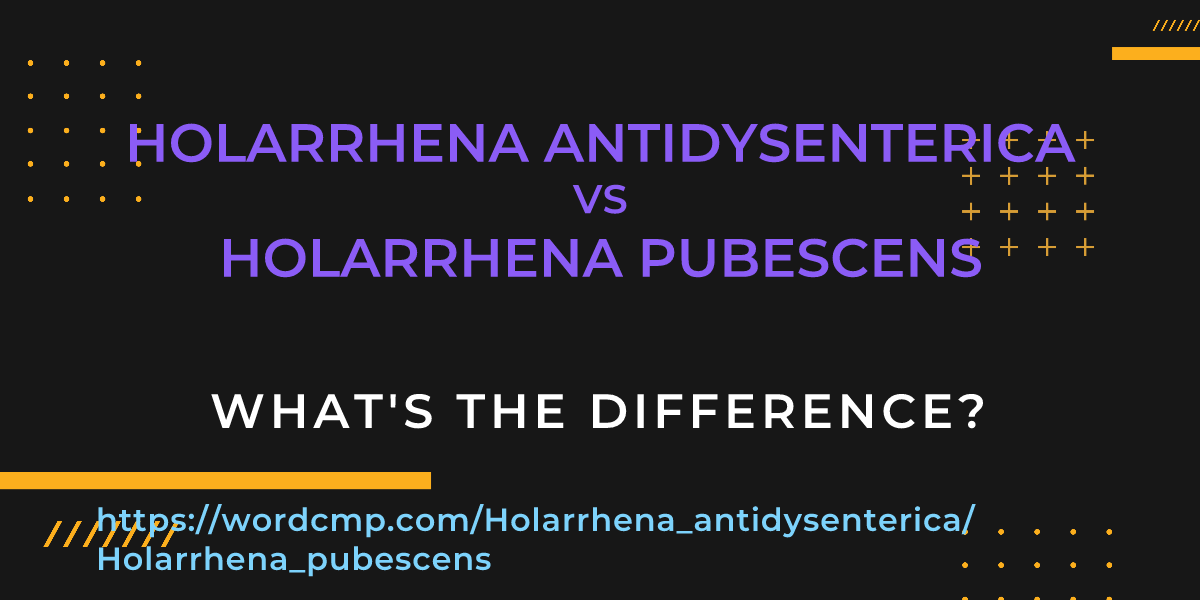 Difference between Holarrhena antidysenterica and Holarrhena pubescens