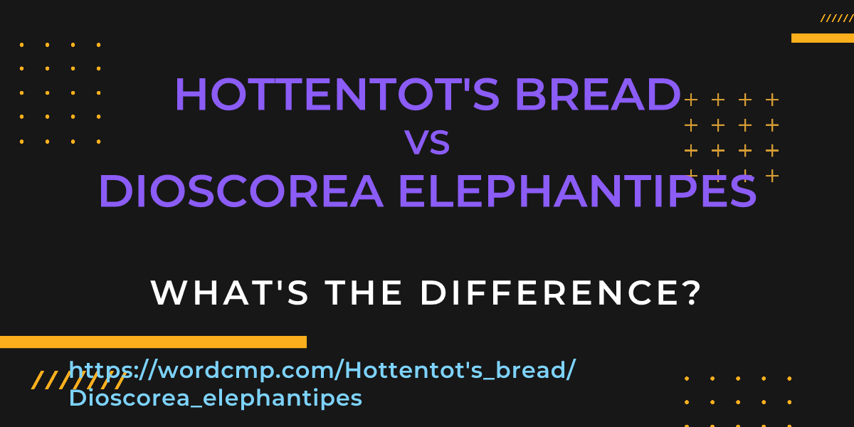 Difference between Hottentot's bread and Dioscorea elephantipes