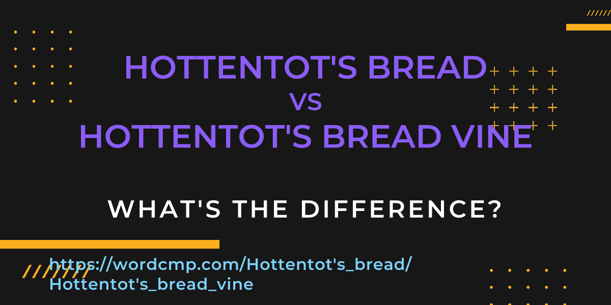 Difference between Hottentot's bread and Hottentot's bread vine