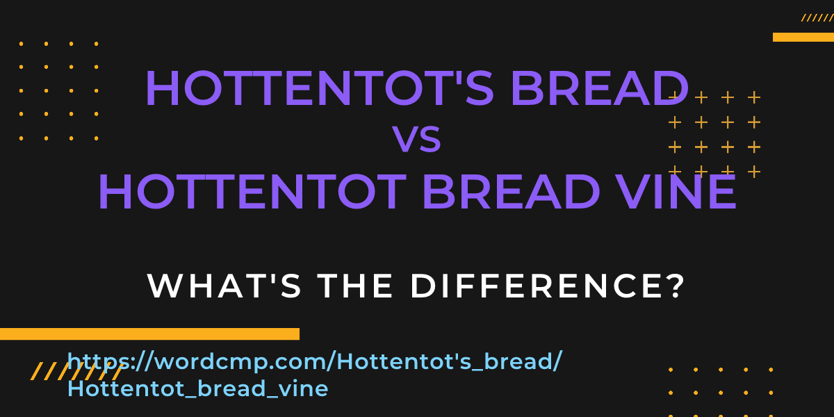 Difference between Hottentot's bread and Hottentot bread vine