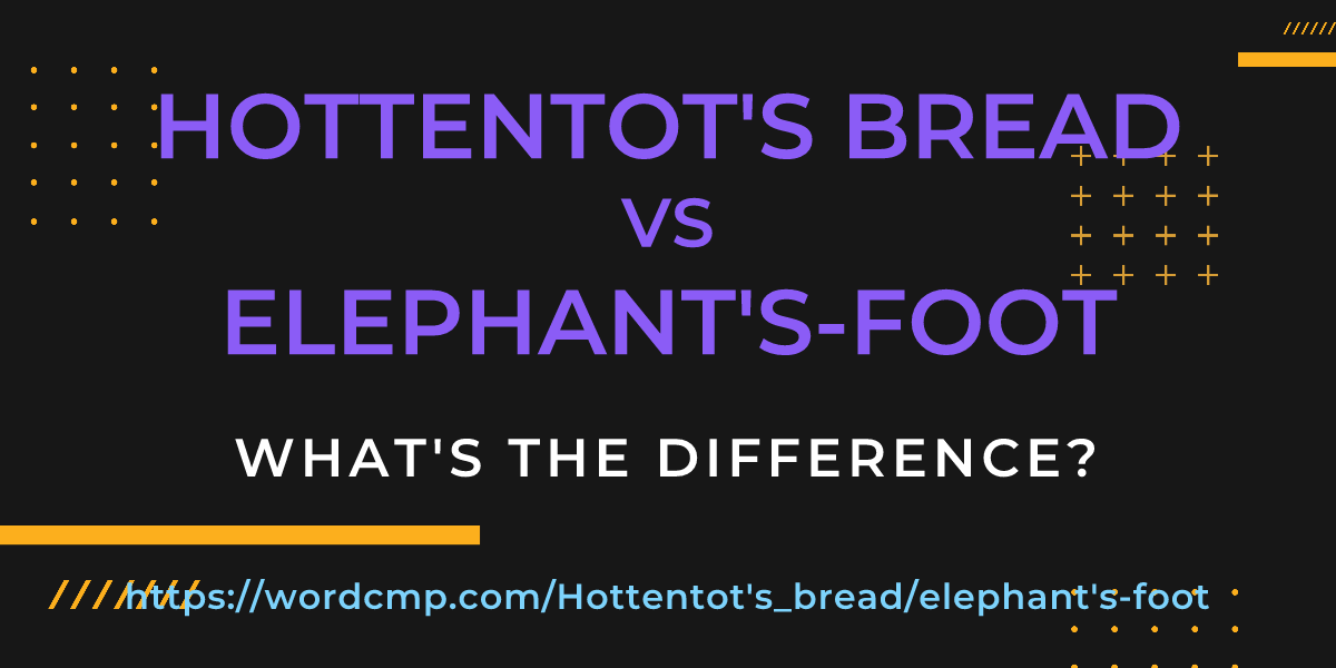 Difference between Hottentot's bread and elephant's-foot