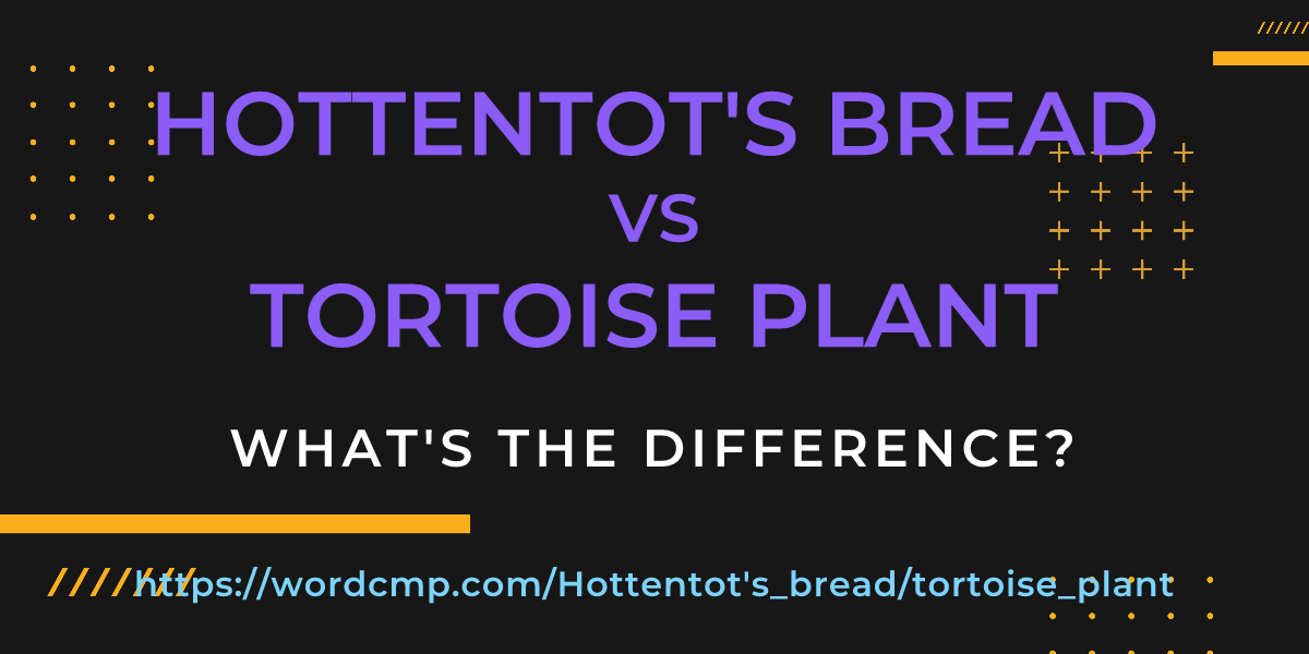 Difference between Hottentot's bread and tortoise plant