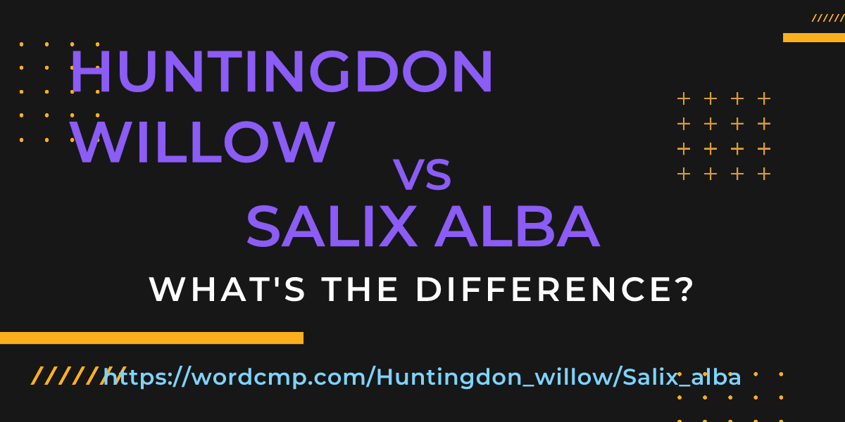 Difference between Huntingdon willow and Salix alba