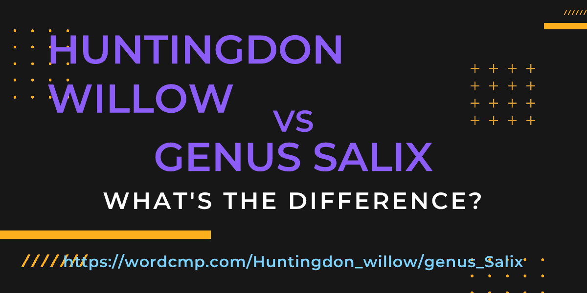 Difference between Huntingdon willow and genus Salix