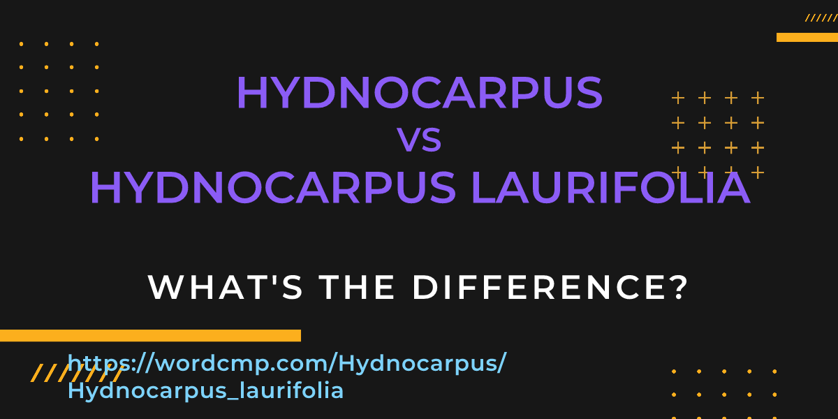 Difference between Hydnocarpus and Hydnocarpus laurifolia