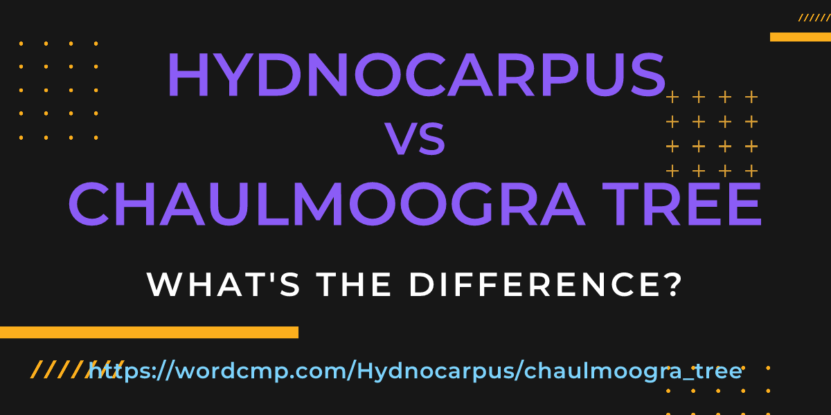 Difference between Hydnocarpus and chaulmoogra tree