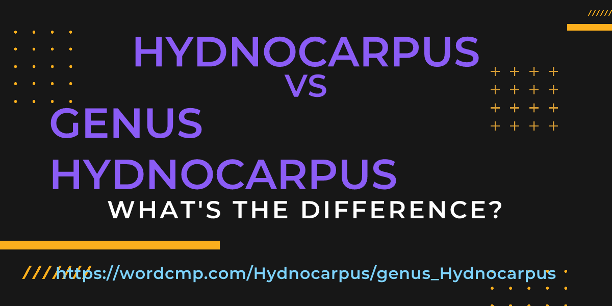 Difference between Hydnocarpus and genus Hydnocarpus