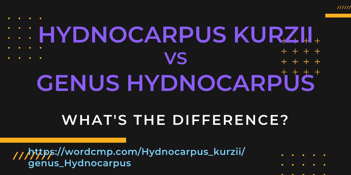 Difference between Hydnocarpus kurzii and genus Hydnocarpus