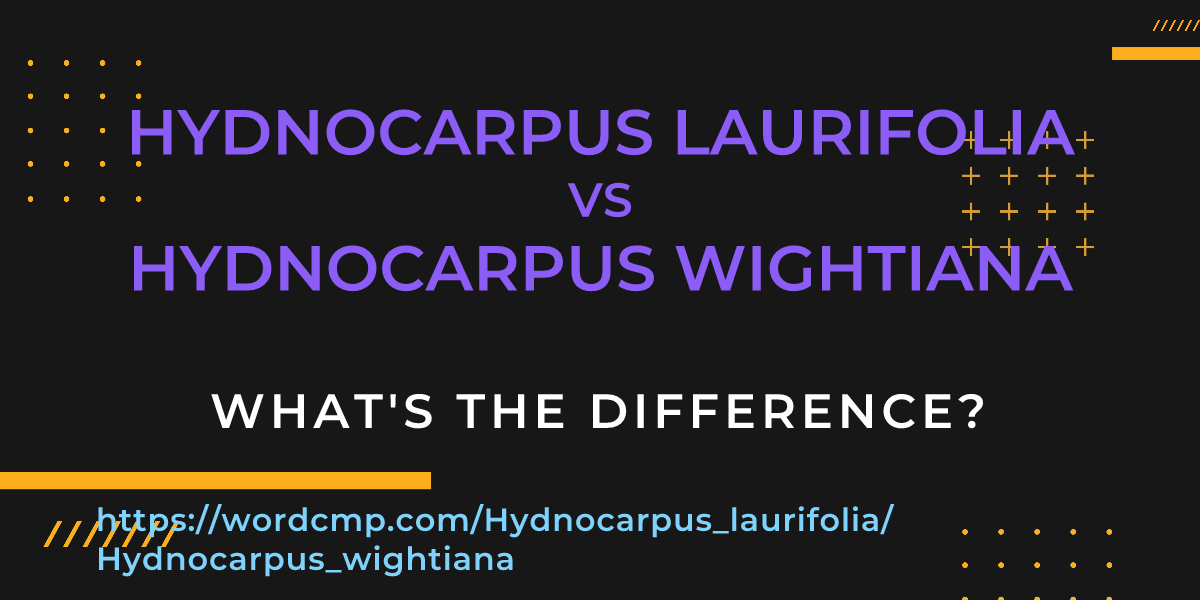 Difference between Hydnocarpus laurifolia and Hydnocarpus wightiana