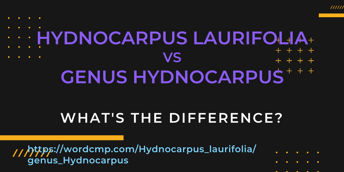 Difference between Hydnocarpus laurifolia and genus Hydnocarpus