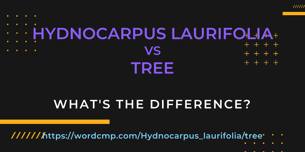 Difference between Hydnocarpus laurifolia and tree