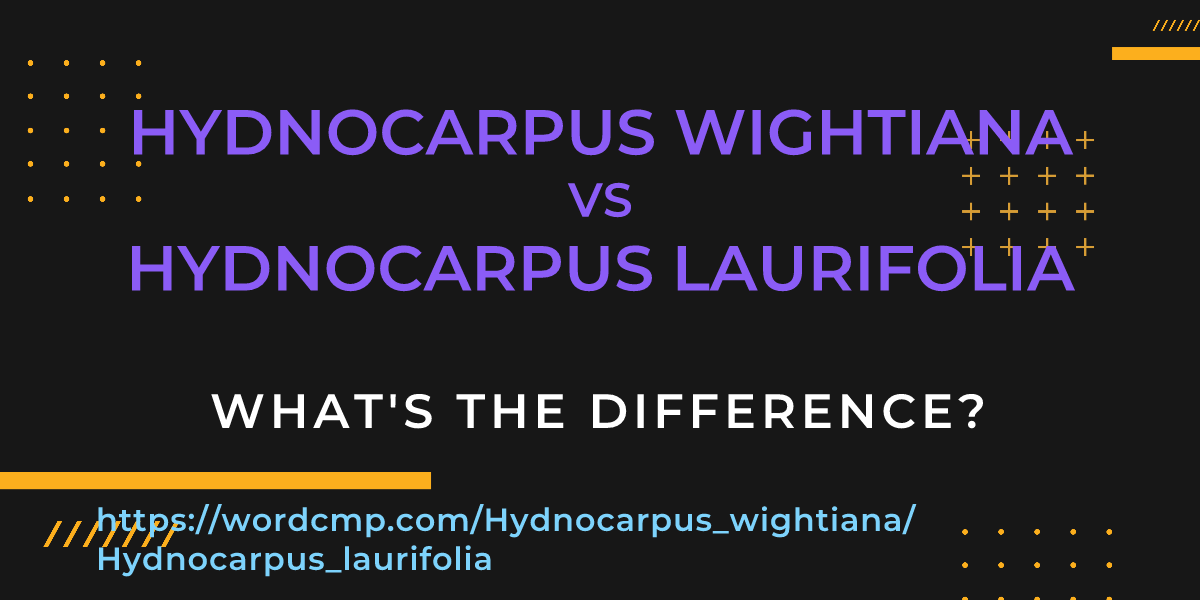 Difference between Hydnocarpus wightiana and Hydnocarpus laurifolia