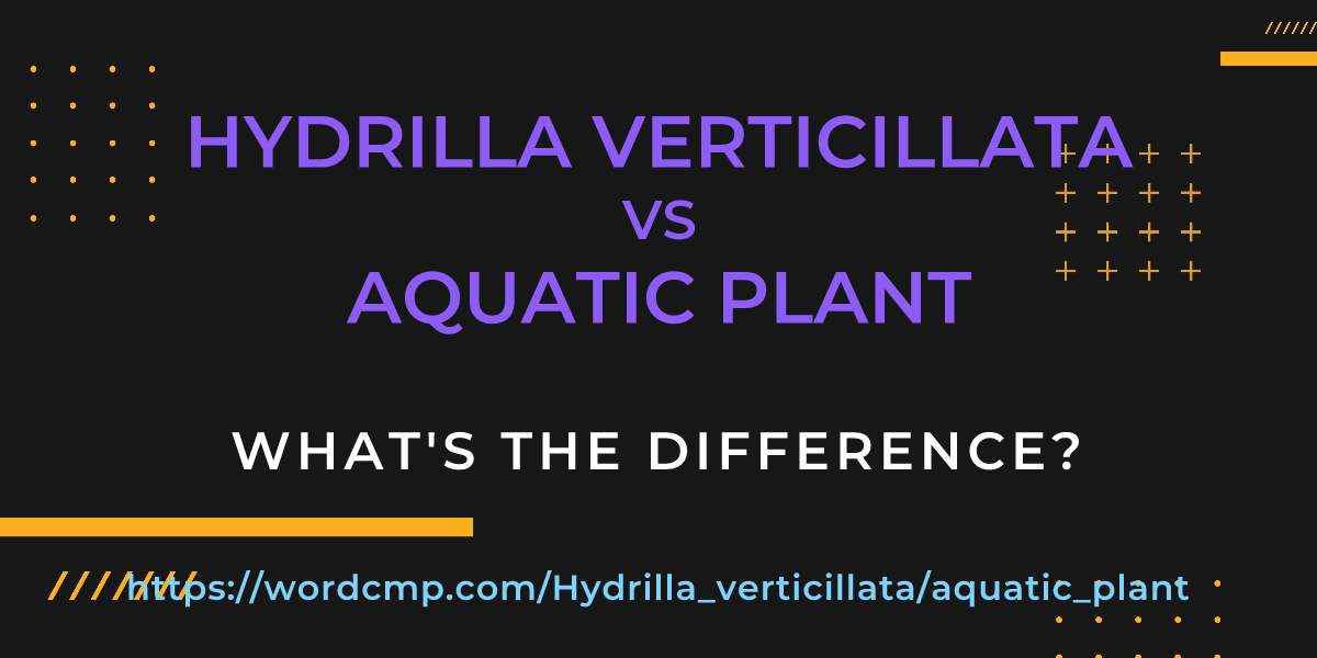 Difference between Hydrilla verticillata and aquatic plant