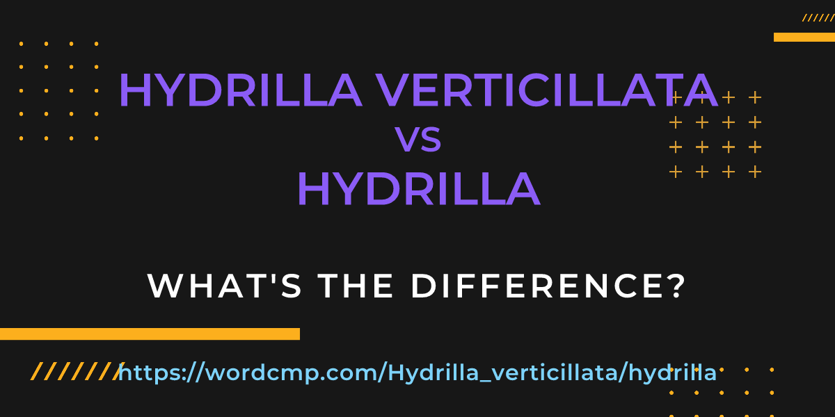 Difference between Hydrilla verticillata and hydrilla