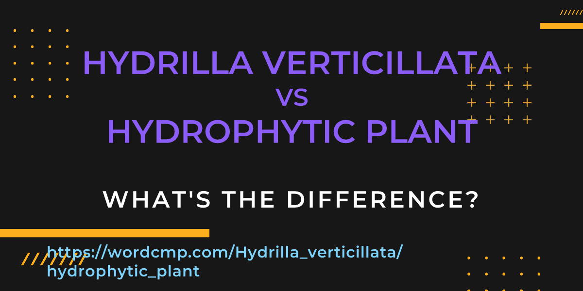 Difference between Hydrilla verticillata and hydrophytic plant
