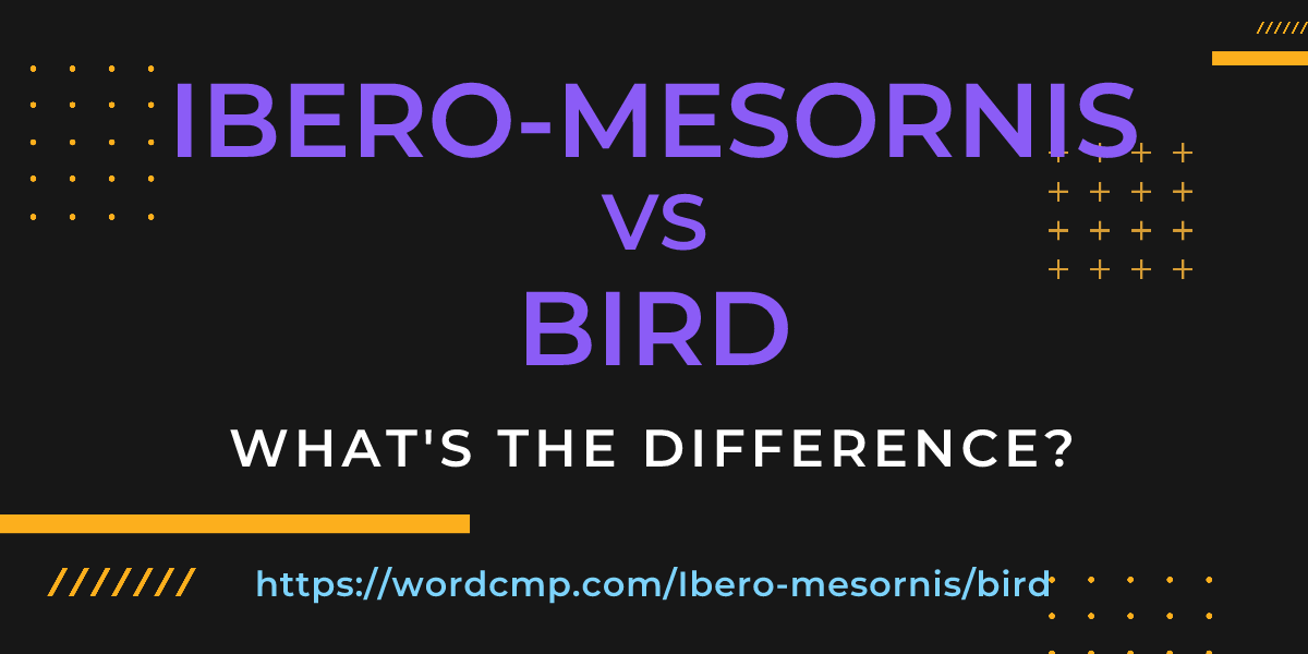 Difference between Ibero-mesornis and bird