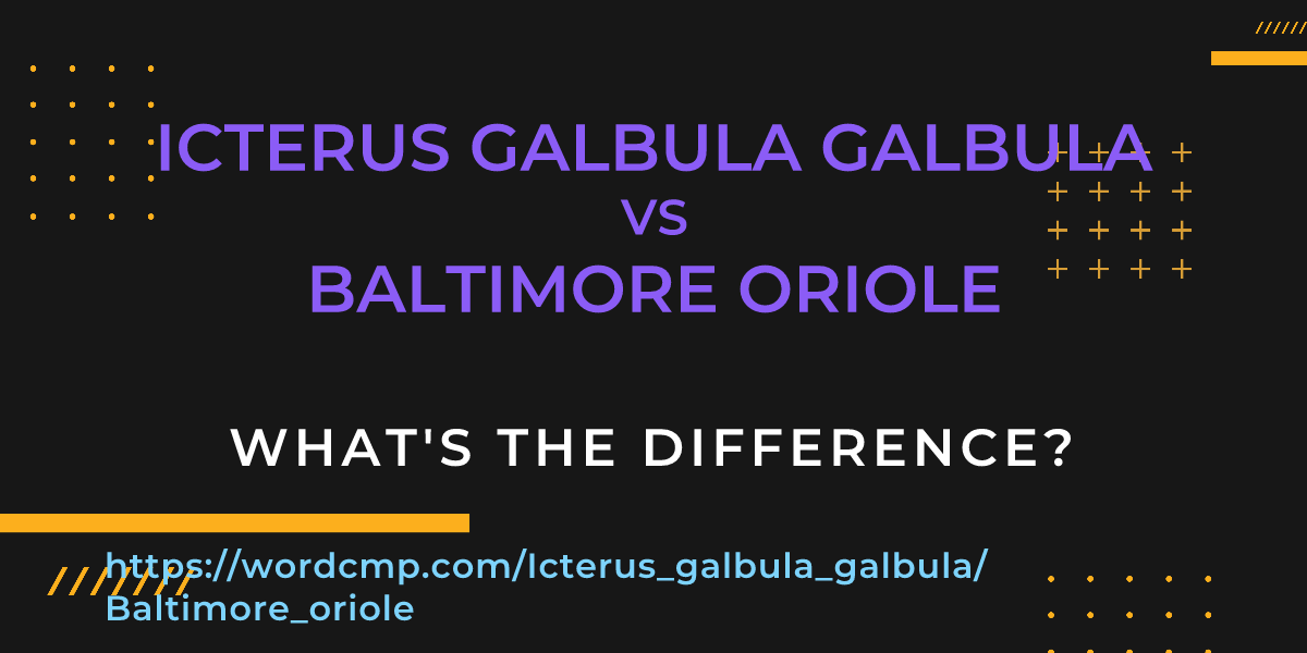 Difference between Icterus galbula galbula and Baltimore oriole