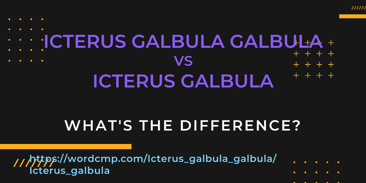 Difference between Icterus galbula galbula and Icterus galbula