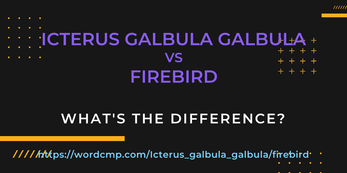 Difference between Icterus galbula galbula and firebird
