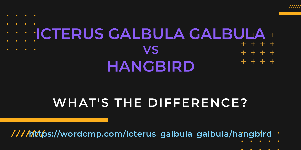 Difference between Icterus galbula galbula and hangbird