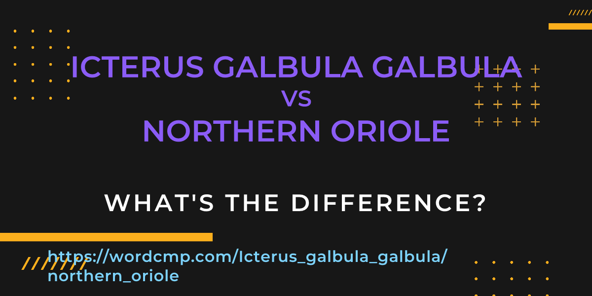 Difference between Icterus galbula galbula and northern oriole