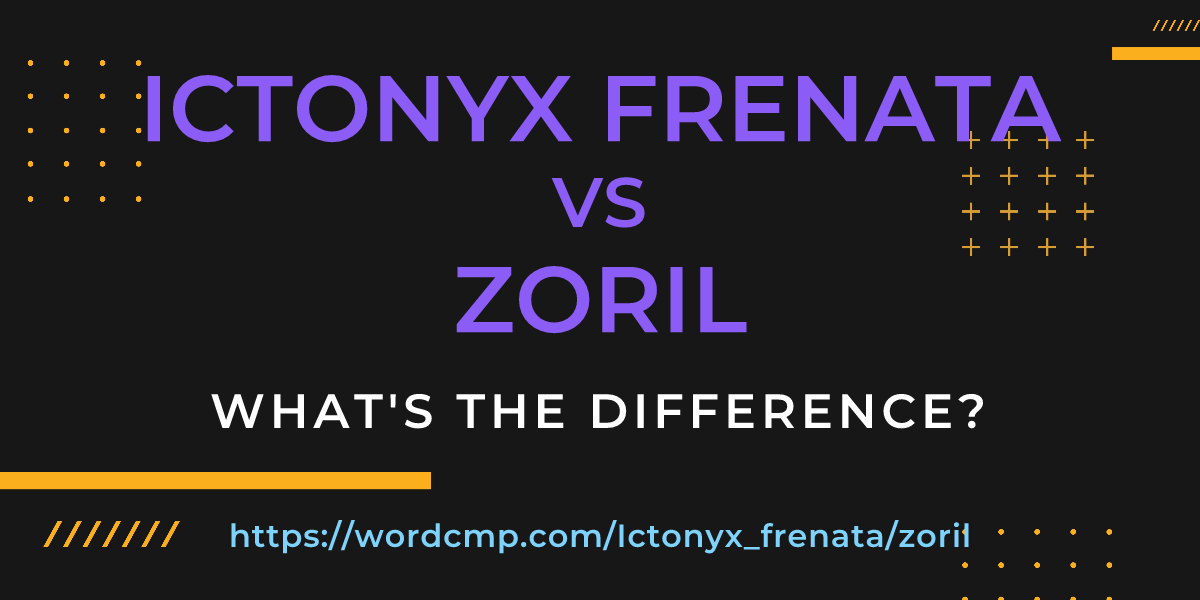 Difference between Ictonyx frenata and zoril