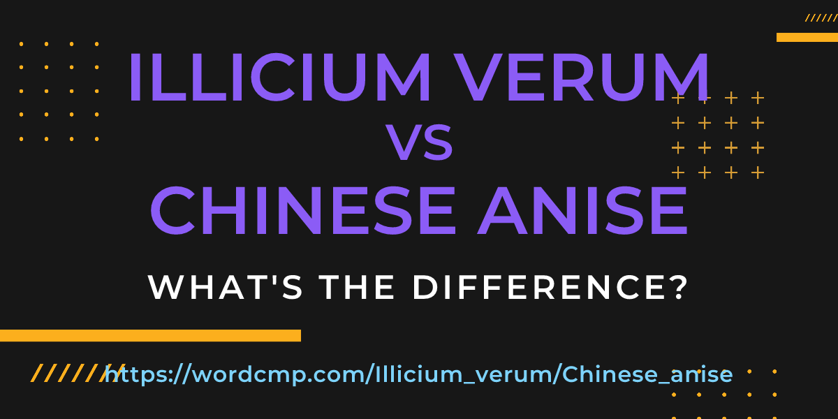 Difference between Illicium verum and Chinese anise