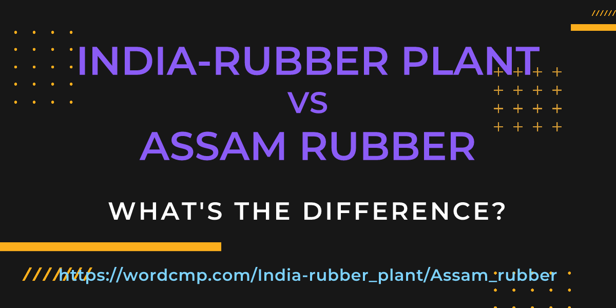 Difference between India-rubber plant and Assam rubber