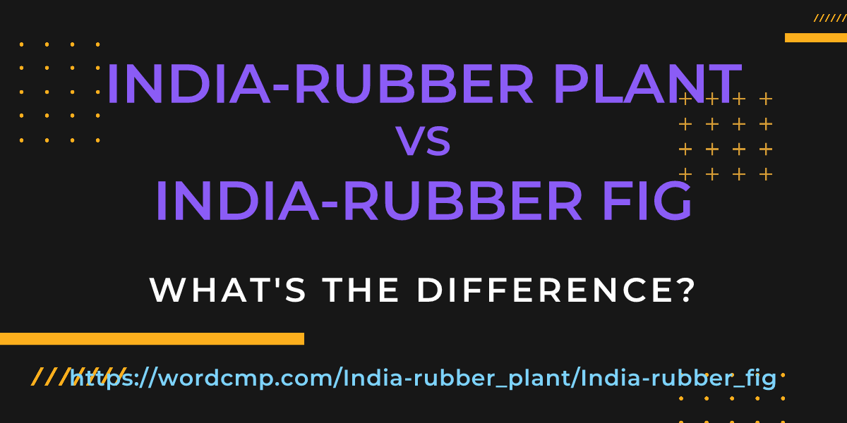 Difference between India-rubber plant and India-rubber fig
