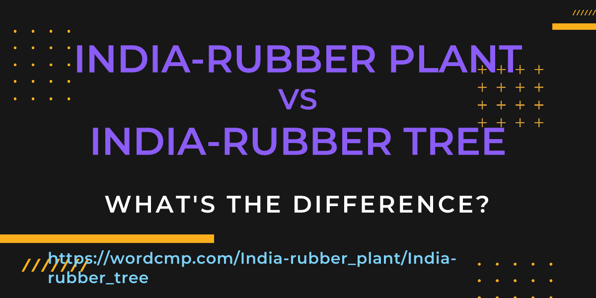 Difference between India-rubber plant and India-rubber tree
