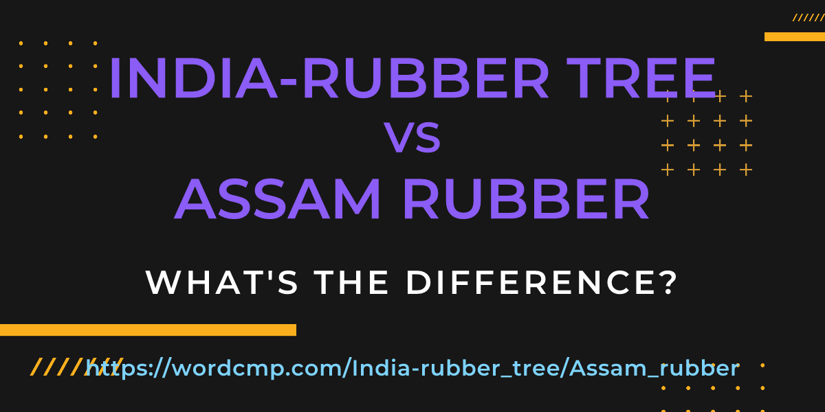 Difference between India-rubber tree and Assam rubber
