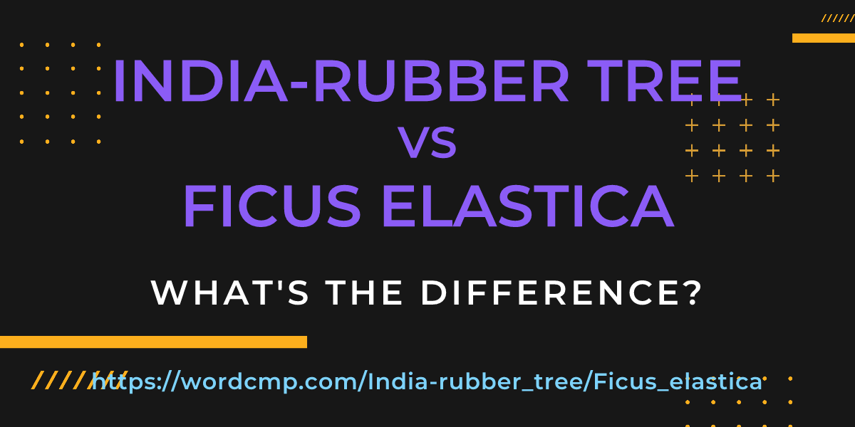 Difference between India-rubber tree and Ficus elastica