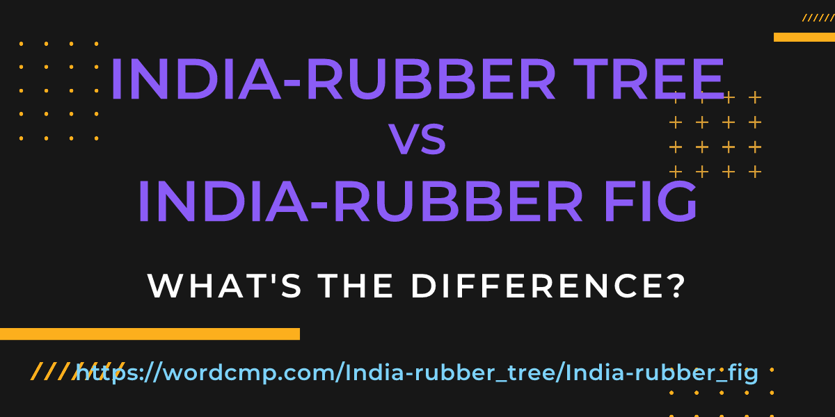 Difference between India-rubber tree and India-rubber fig