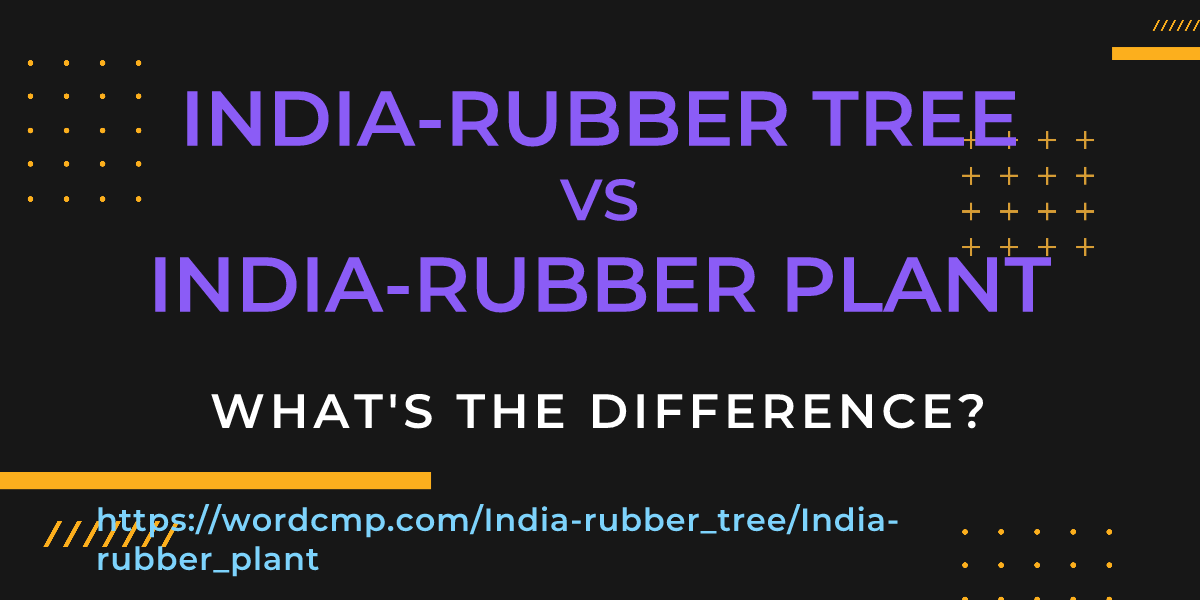Difference between India-rubber tree and India-rubber plant