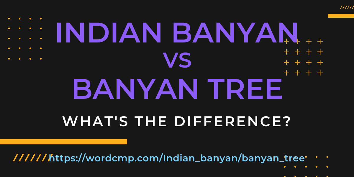 Difference between Indian banyan and banyan tree