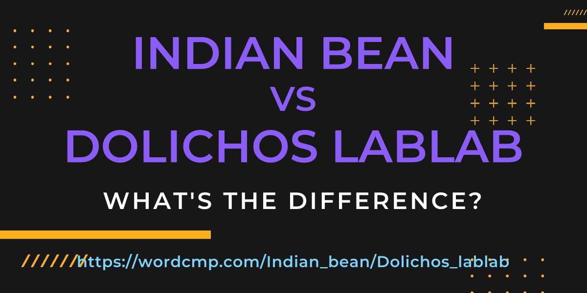Difference between Indian bean and Dolichos lablab