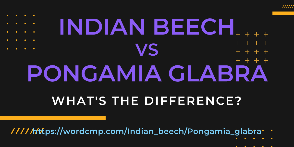 Difference between Indian beech and Pongamia glabra