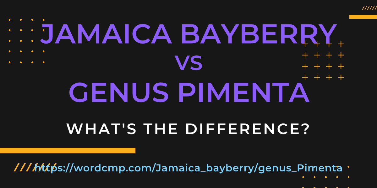 Difference between Jamaica bayberry and genus Pimenta