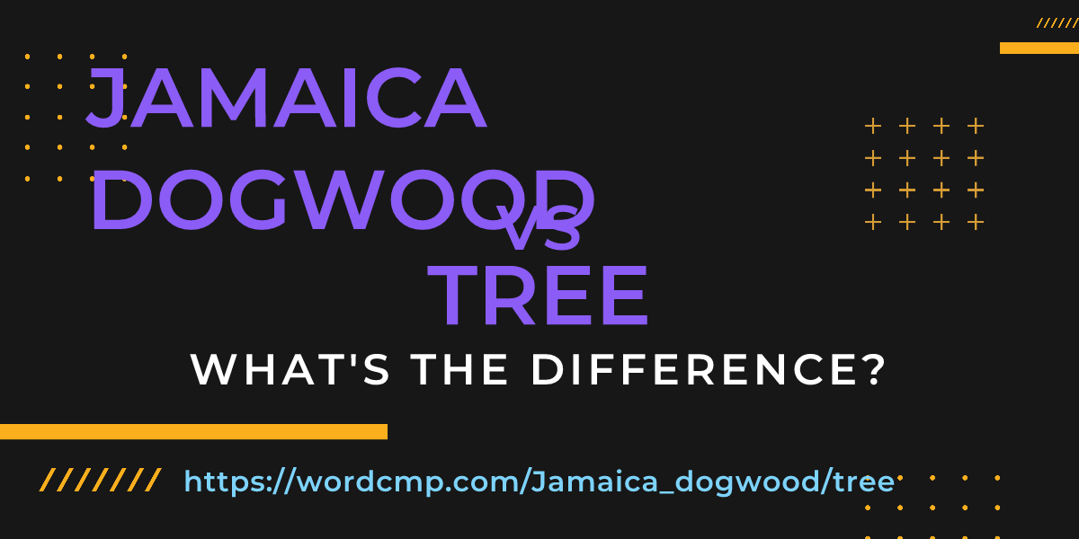 Difference between Jamaica dogwood and tree