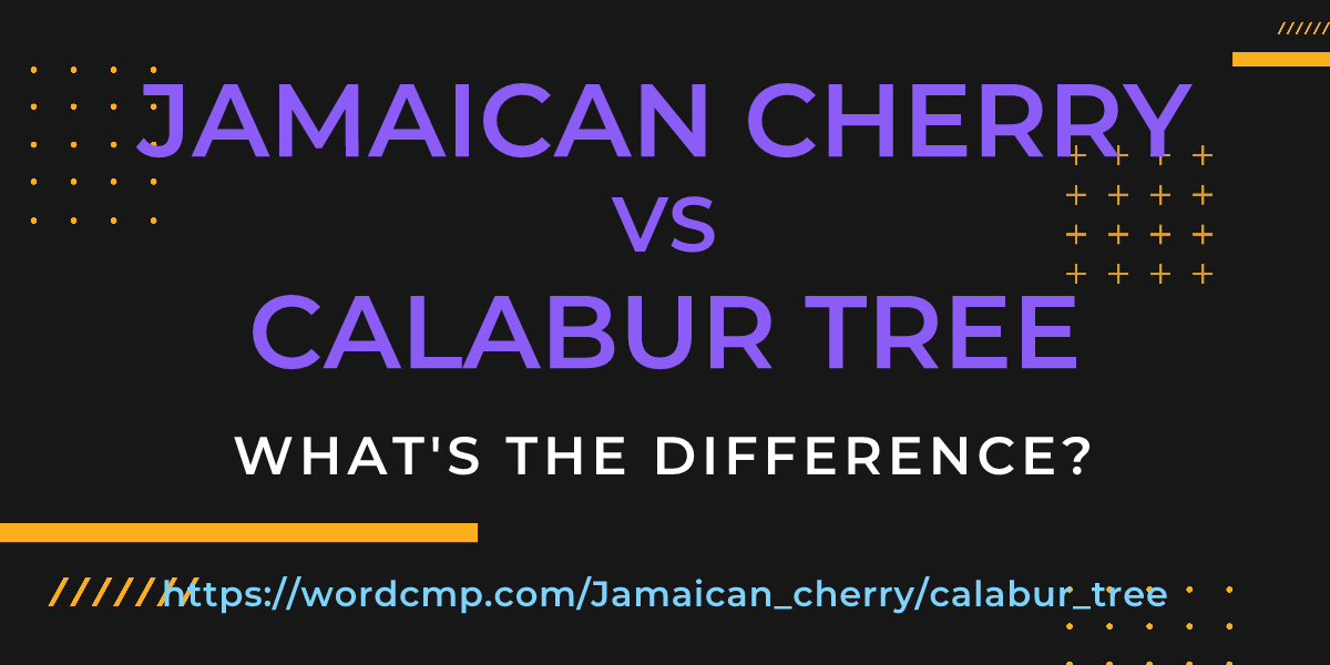 Difference between Jamaican cherry and calabur tree