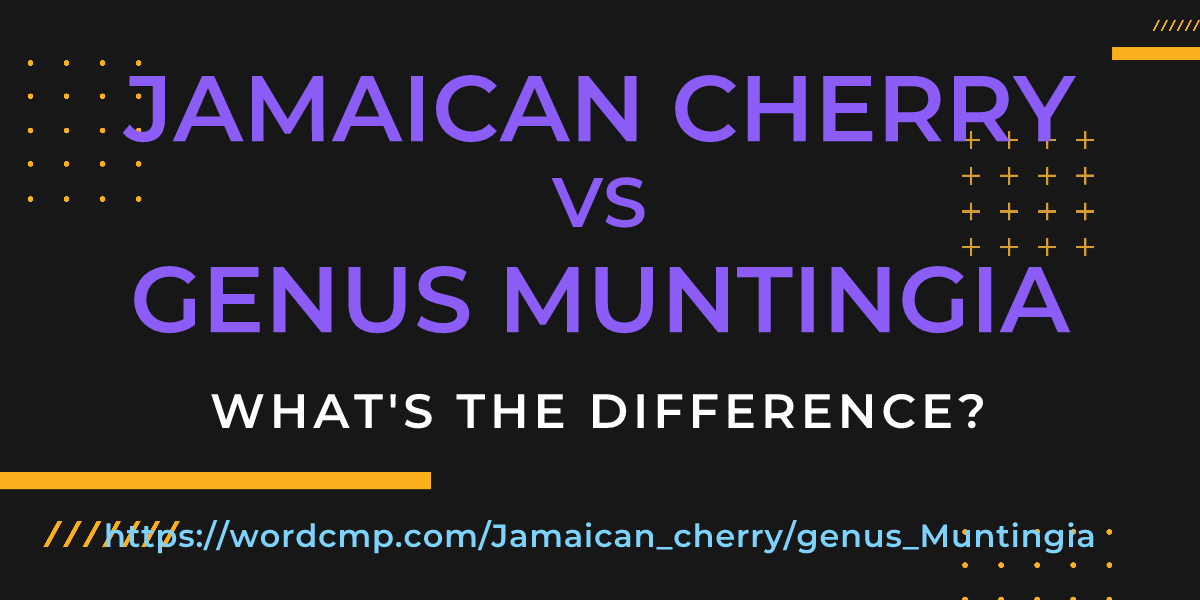 Difference between Jamaican cherry and genus Muntingia